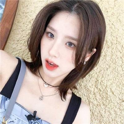 一条狗的使命
